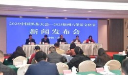 梧州新闻爆料,揭秘梧州最新动态，聚焦民生热点